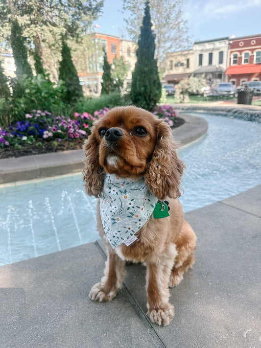 Daisy Bandana