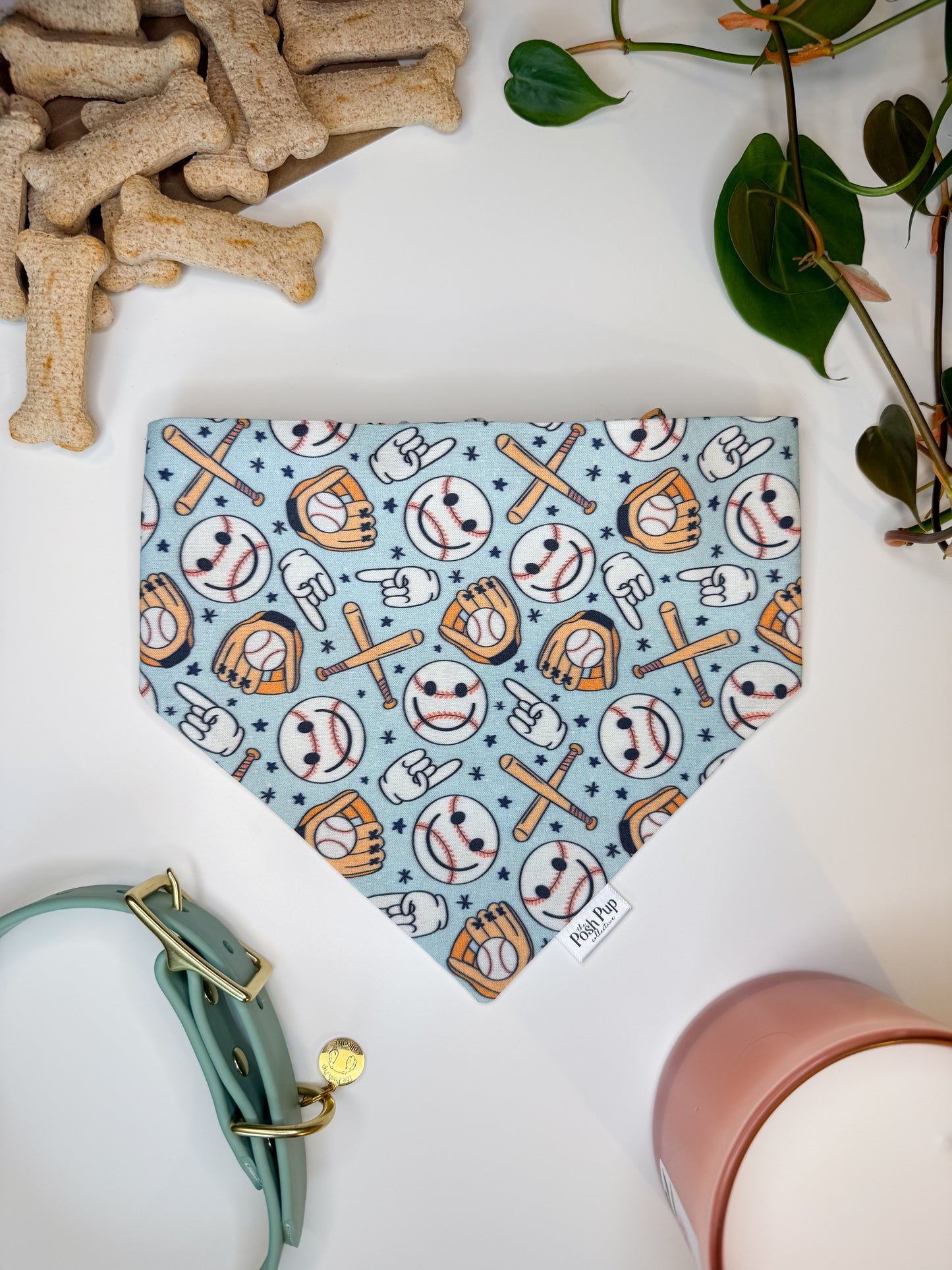 Take Me Out to the Ballgame Bandana