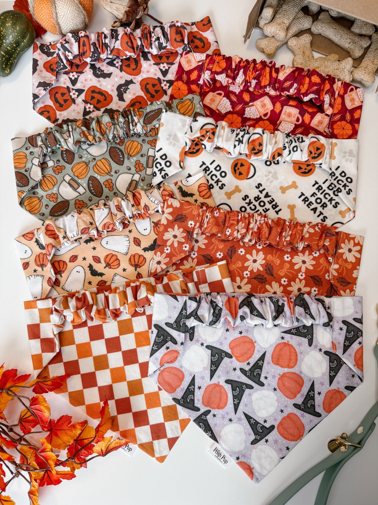 Fall Collection
