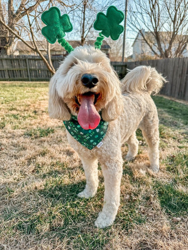 Pet Me I'm Irish Bandana