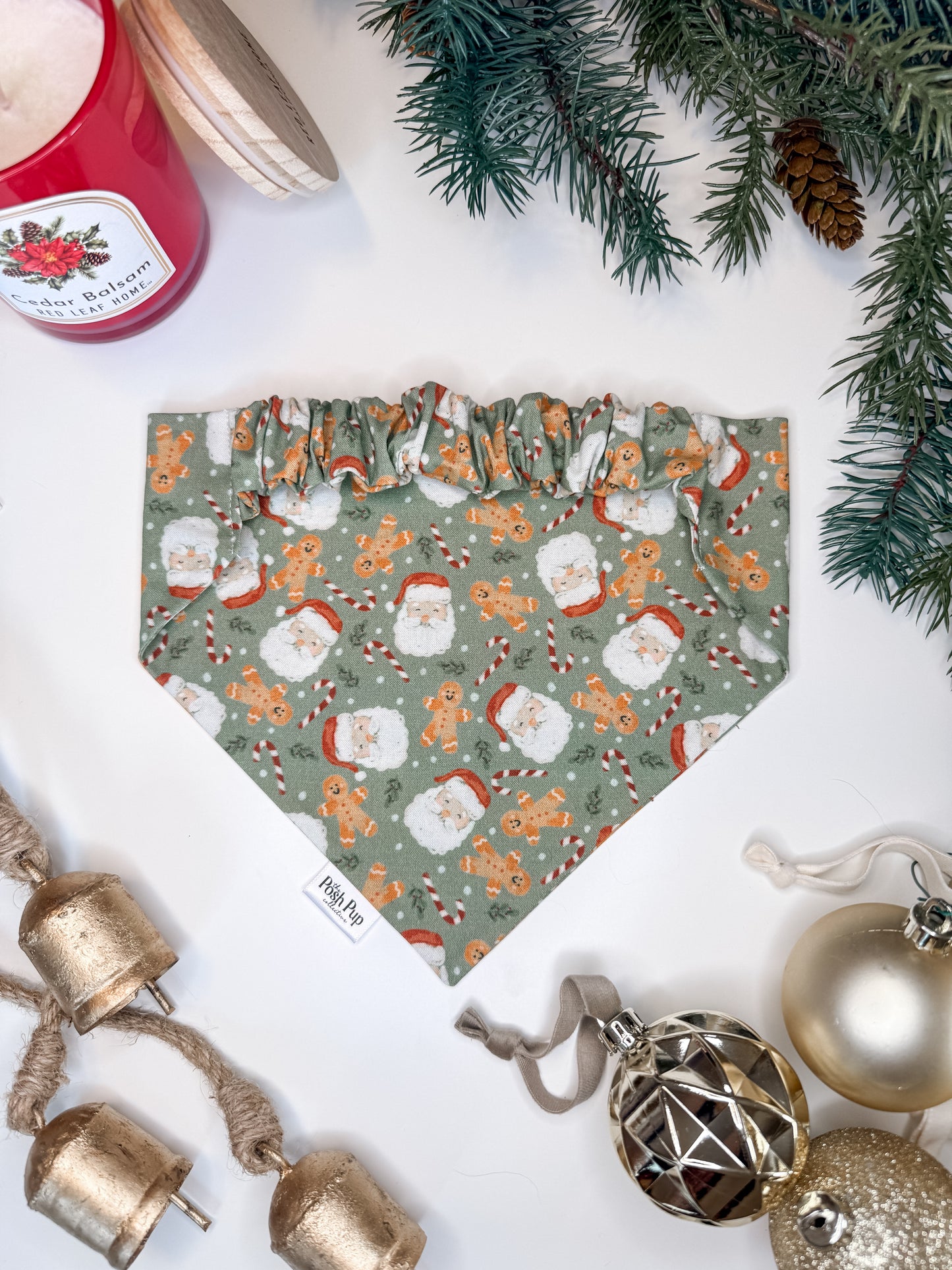 Here Comes Santa Paws Bandana