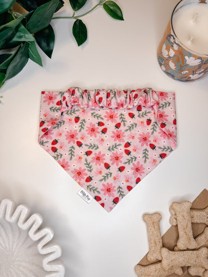 Strawberry Sunrise Bandana