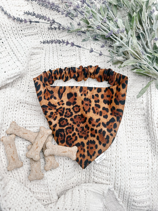 Leopard Bandana