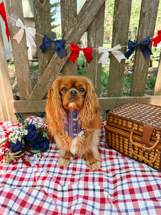 Main Street Parade Bandana