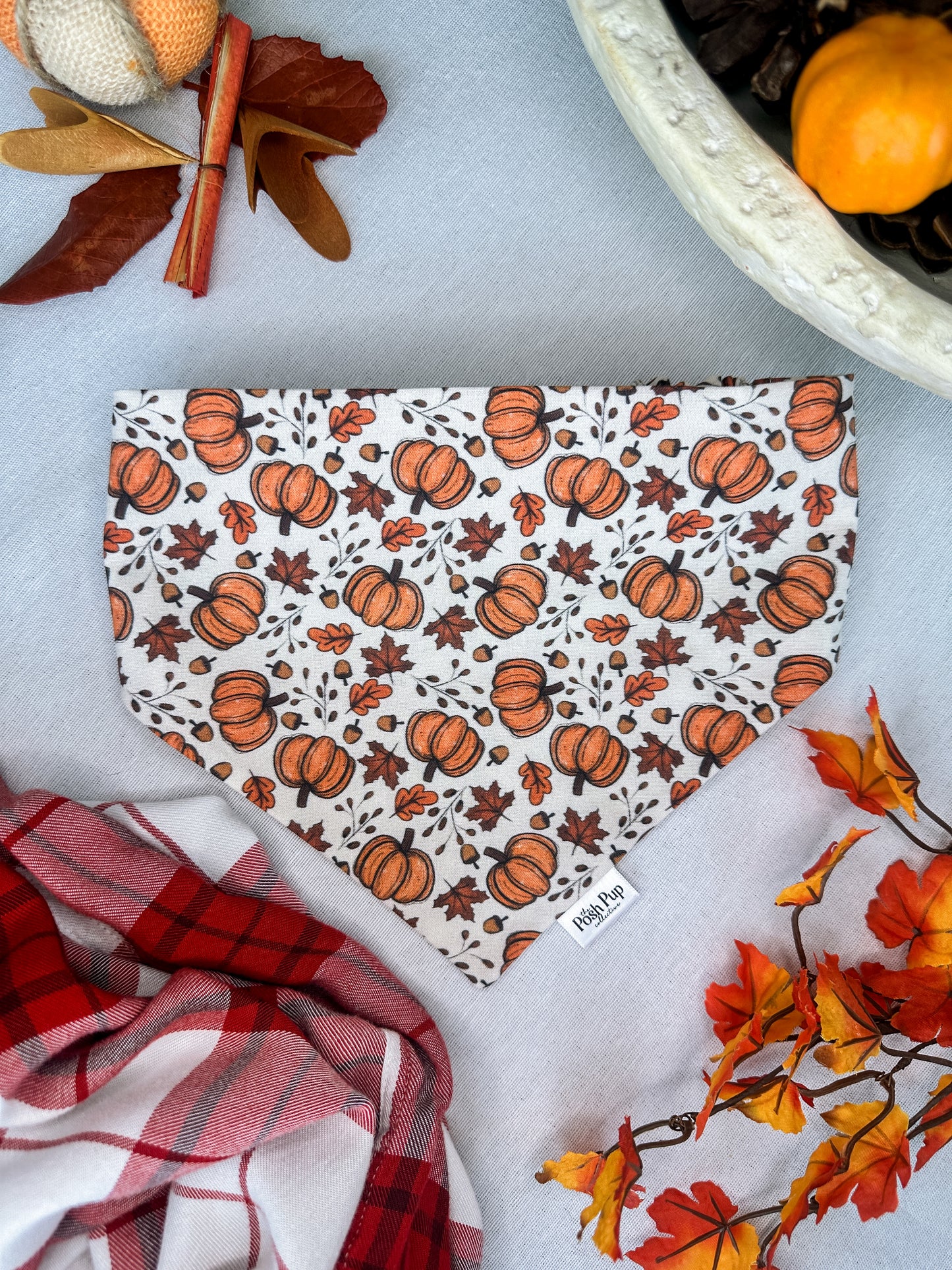 Autumn Bliss Bandana