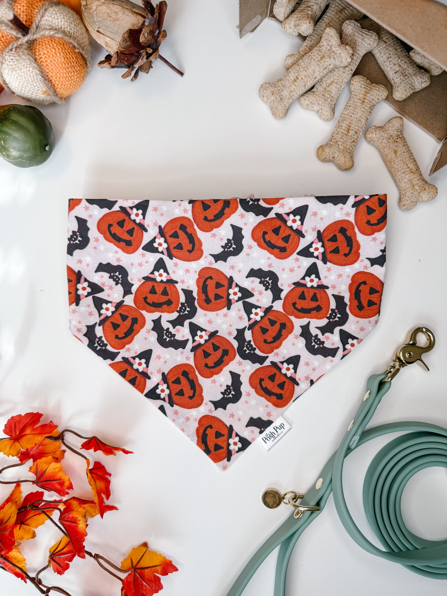 Pretty Pretty Pumpkin Bandana