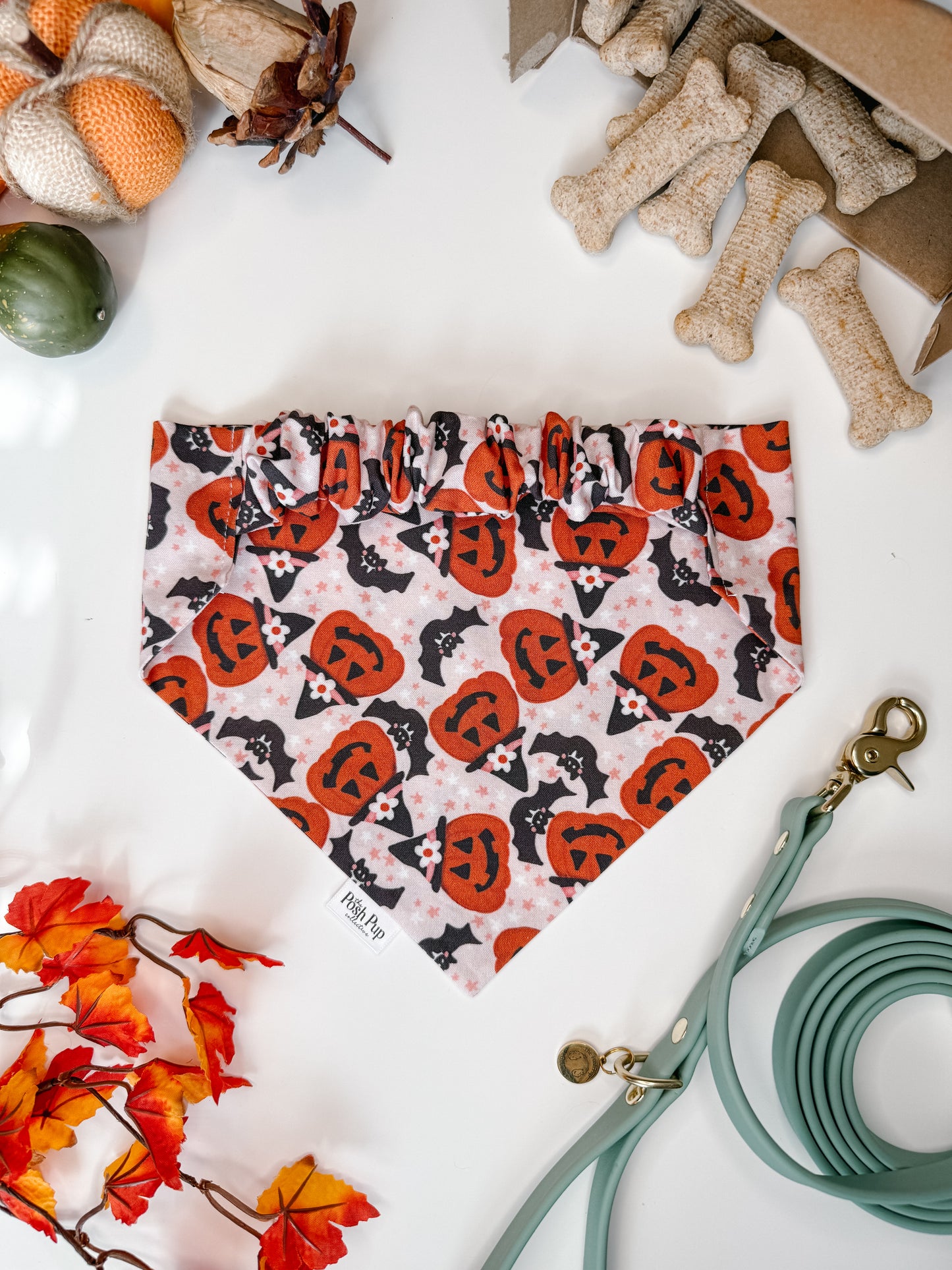 Pretty Pretty Pumpkin Bandana