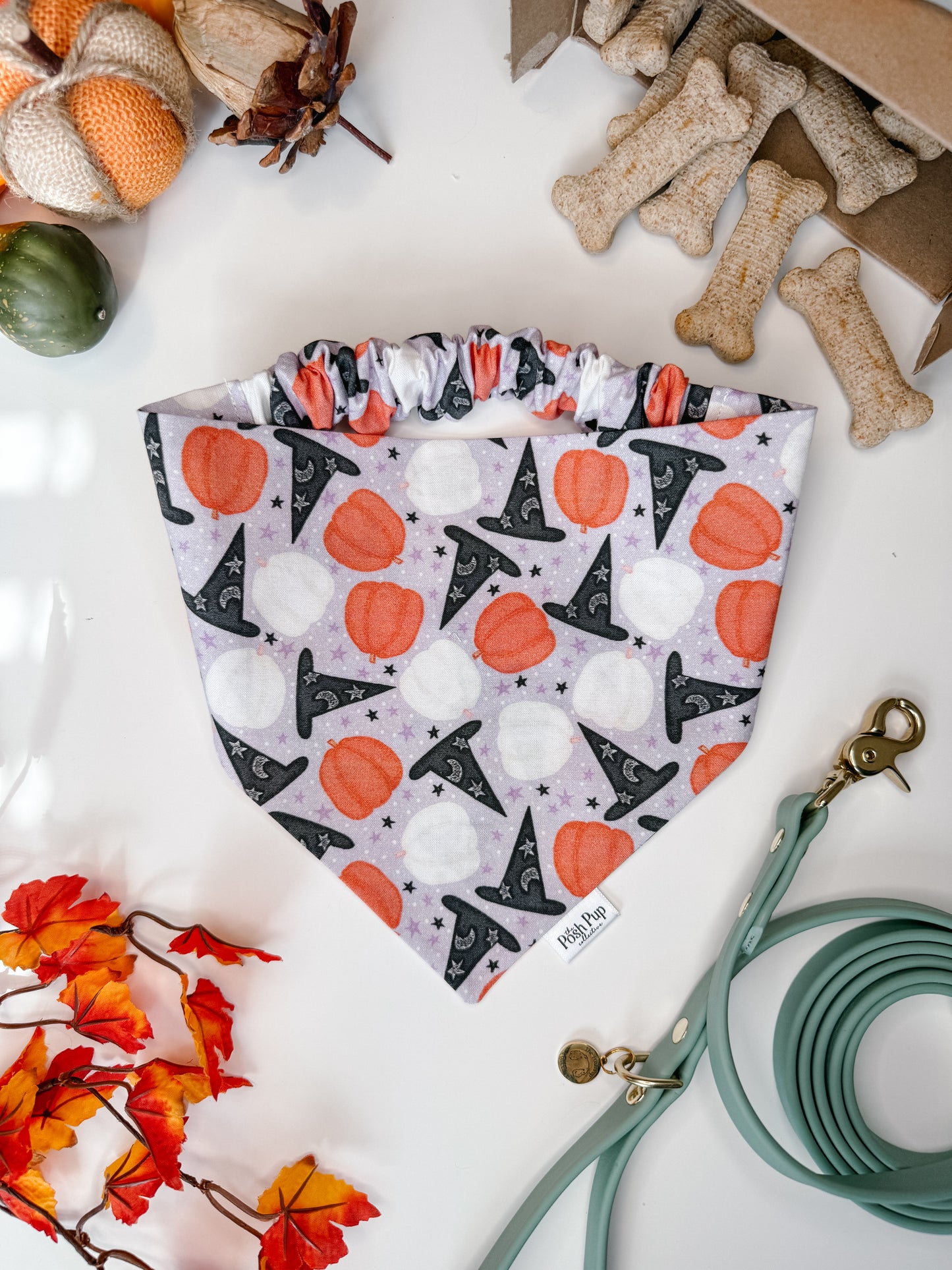 Witches Brew Bandana