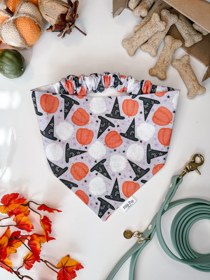 Witches Brew Bandana