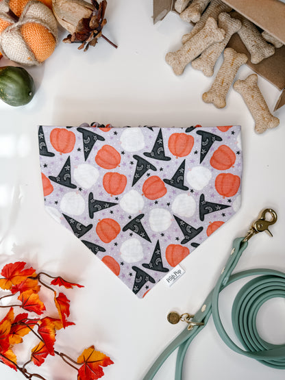 Witches Brew Bandana