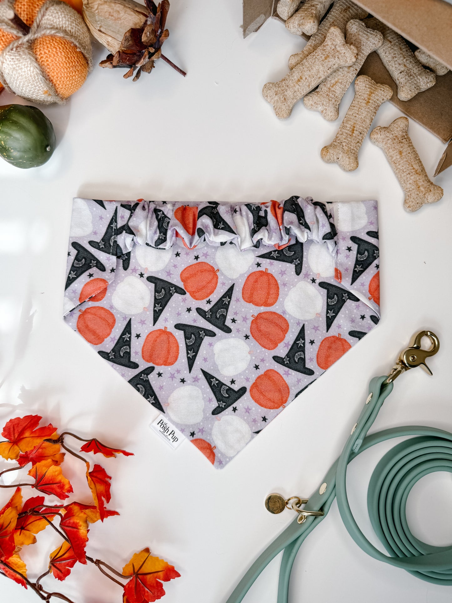 Witches Brew Bandana