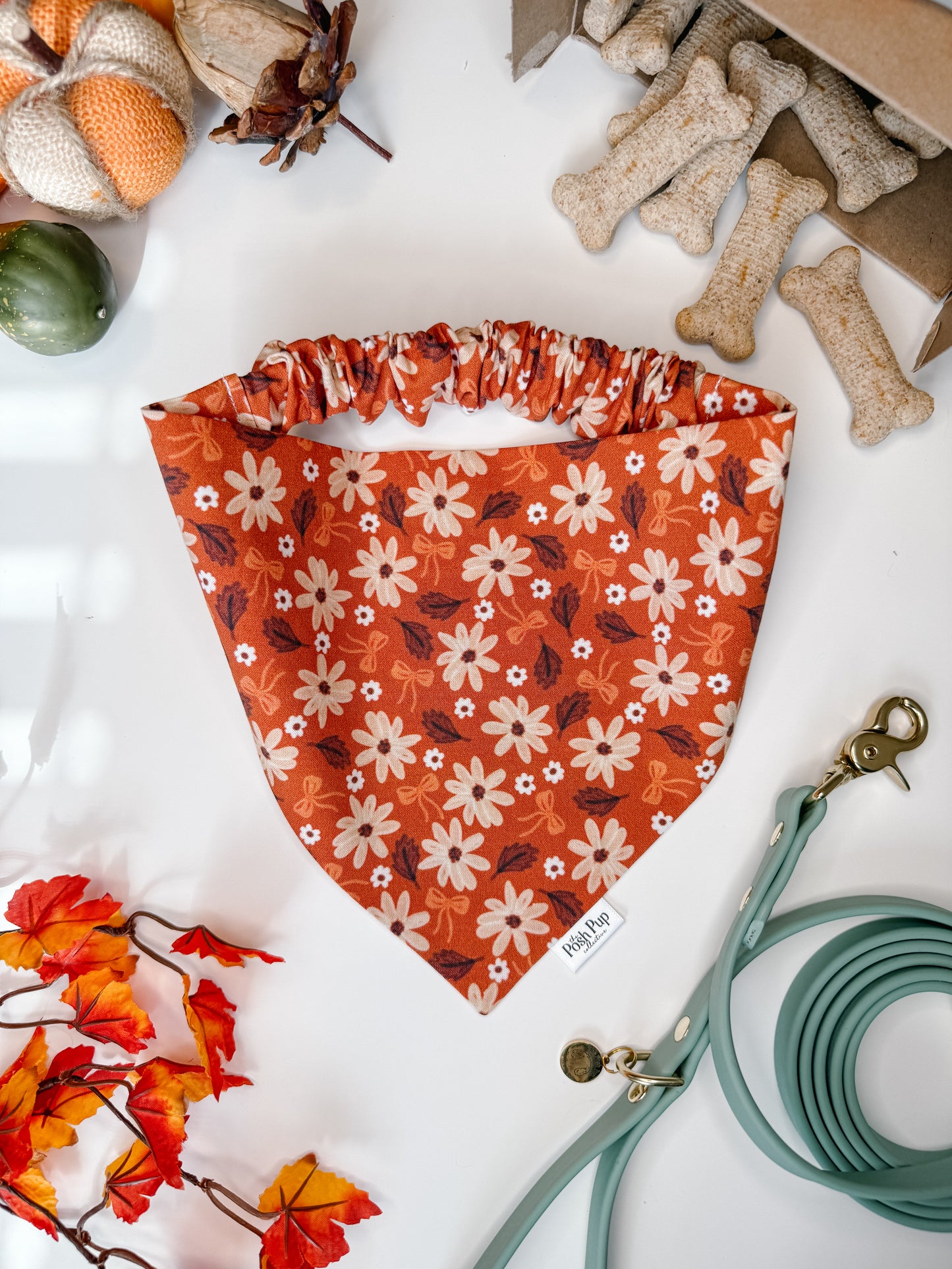 Autumn Glow Bandana