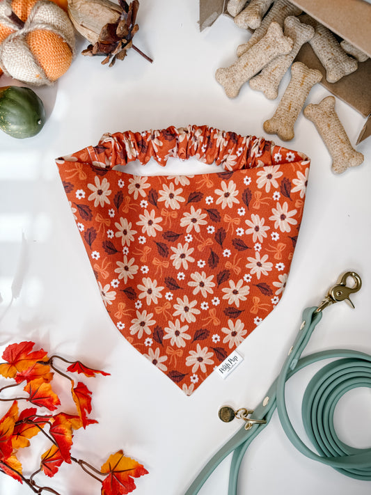 Autumn Glow Bandana