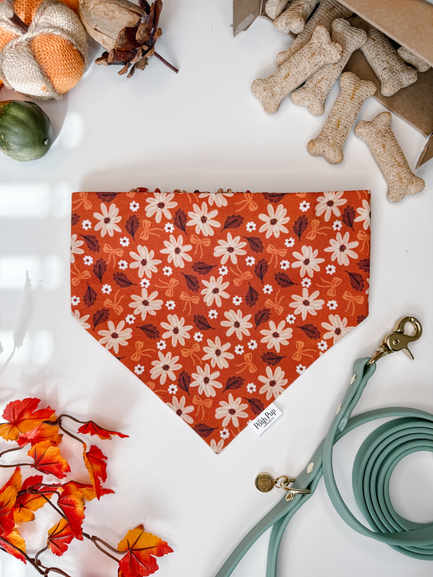 Autumn Glow Bandana